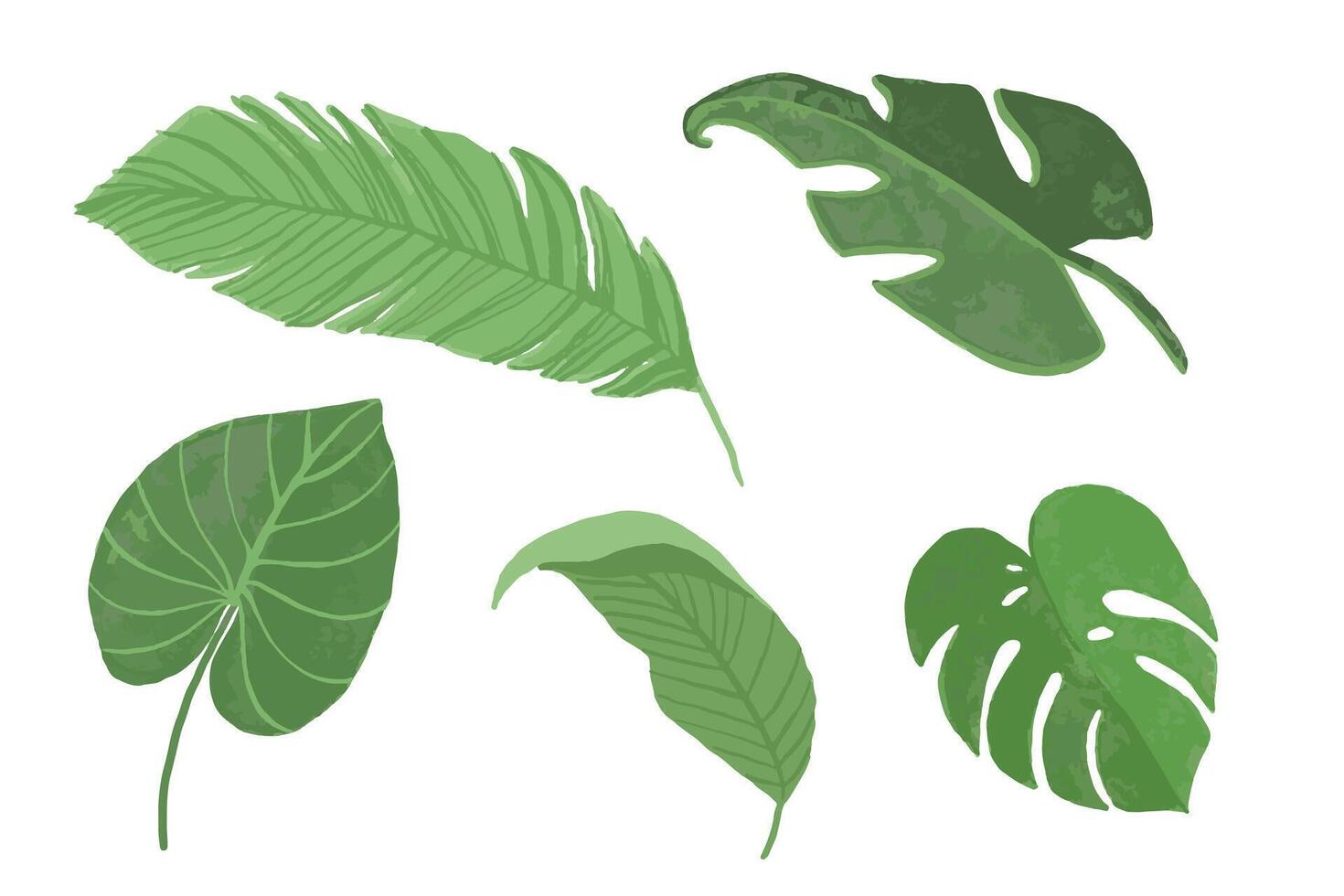 conjunto de tropical hojas aislado en blanco antecedentes. vistoso planta colección vector