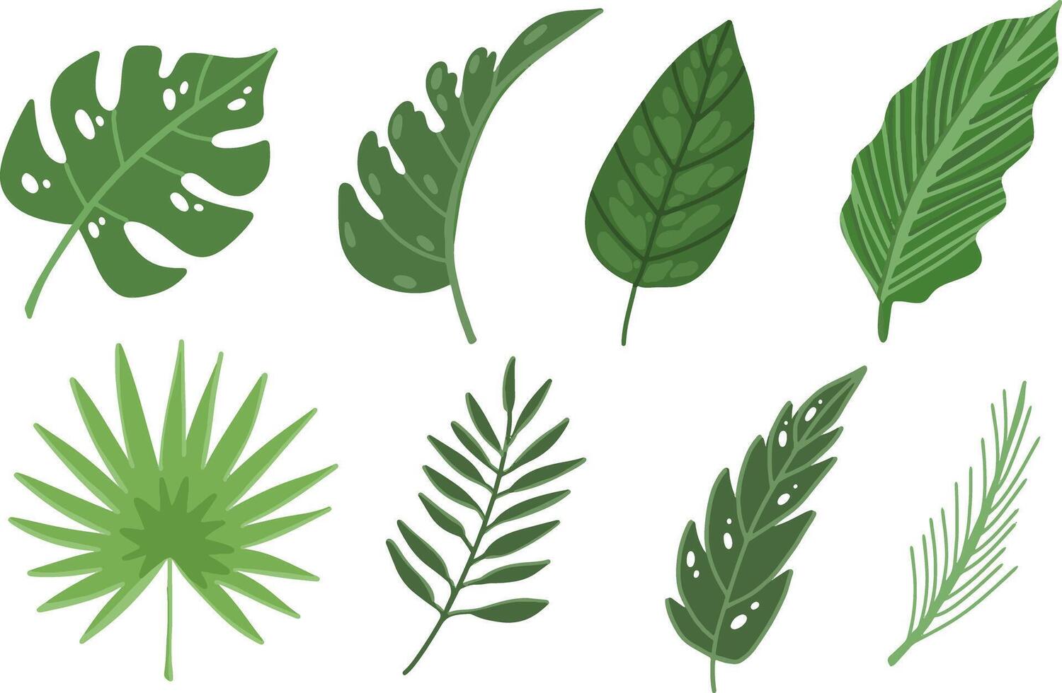 Set tropical leaves of exotic plants isolated on white background vector