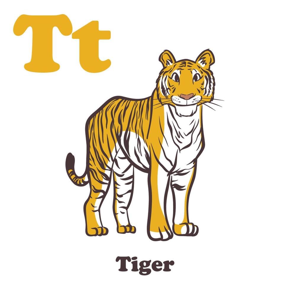 Tigre alfabeto dibujos animados personaje para niños vector