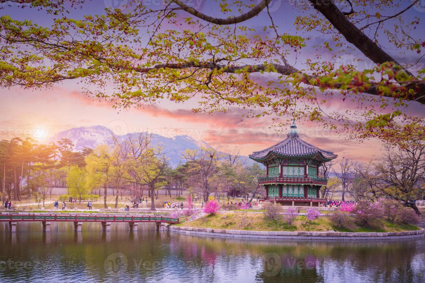 gyeongbokgung palacio con Cereza florecer árbol en primavera hora en Seúl ciudad de Corea, sur Corea. foto