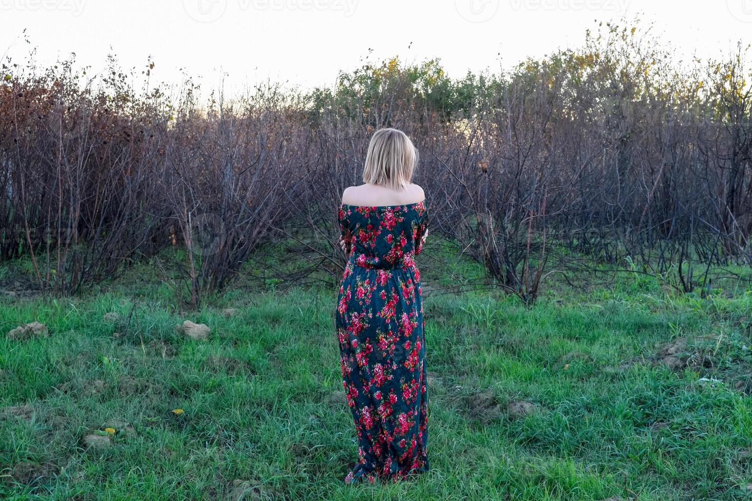 el dama en el antecedentes de seco arboles mujer en un vestido. foto