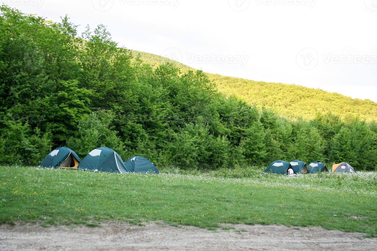 tourist tents in forest at campsite photo