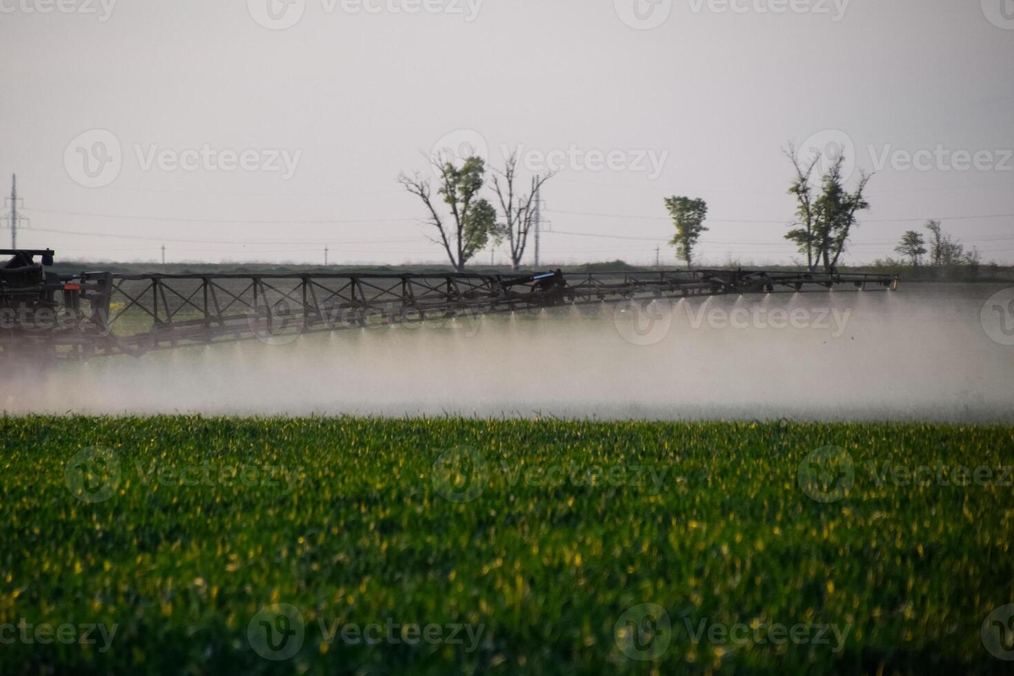 Jets of liquid fertilizer from the tractor sprayer. photo