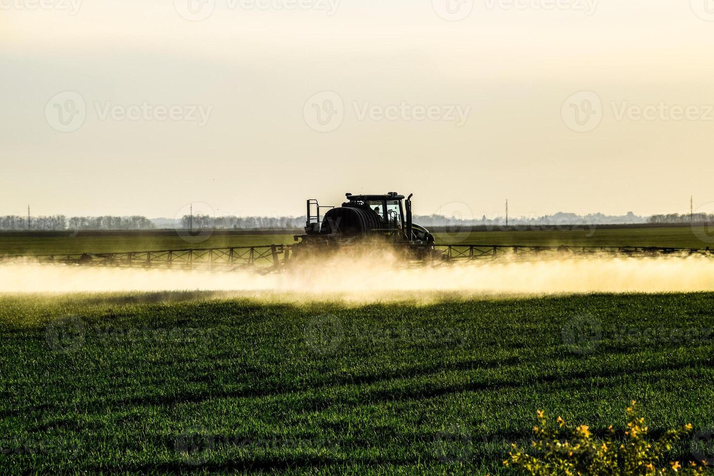 Jets of liquid fertilizer from the tractor sprayer. photo