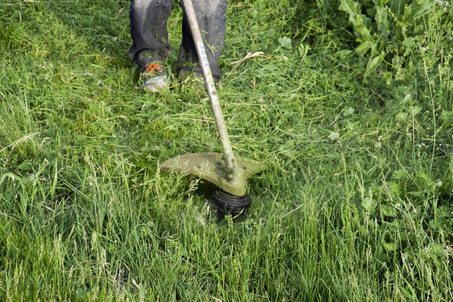 Application trimmers. Mowing green grass using a fishing line trimmer photo