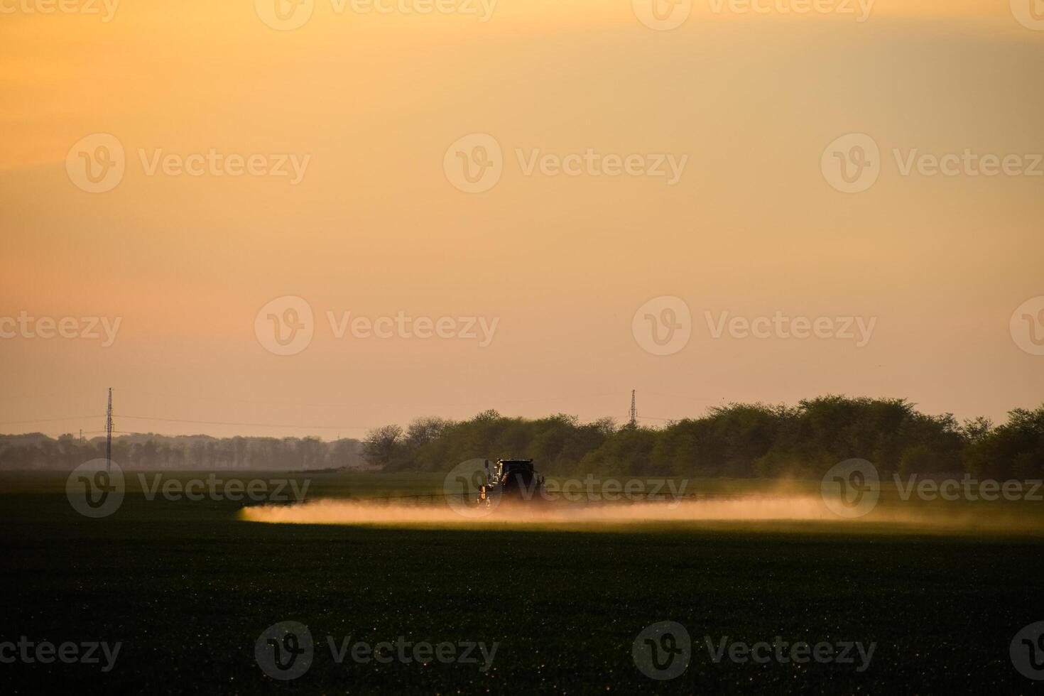 tractor with the help of a sprayer sprays liquid fertilizers on young wheat in the field. photo