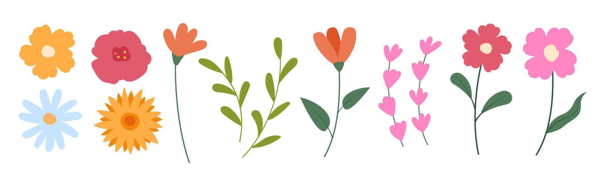 Spring flowers set, blooming flowers, isolated on white background. Floral and leaves elements collection. vector