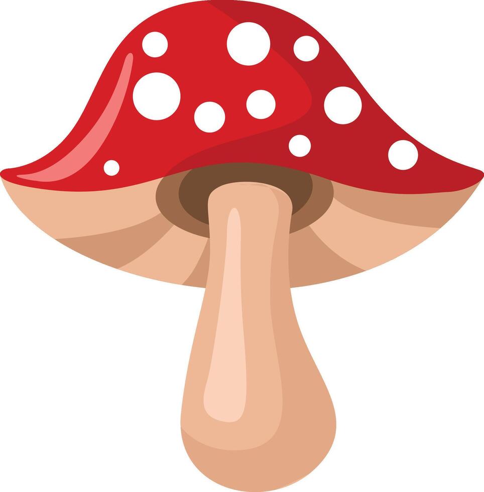 Red mushroom isolated on white vector
