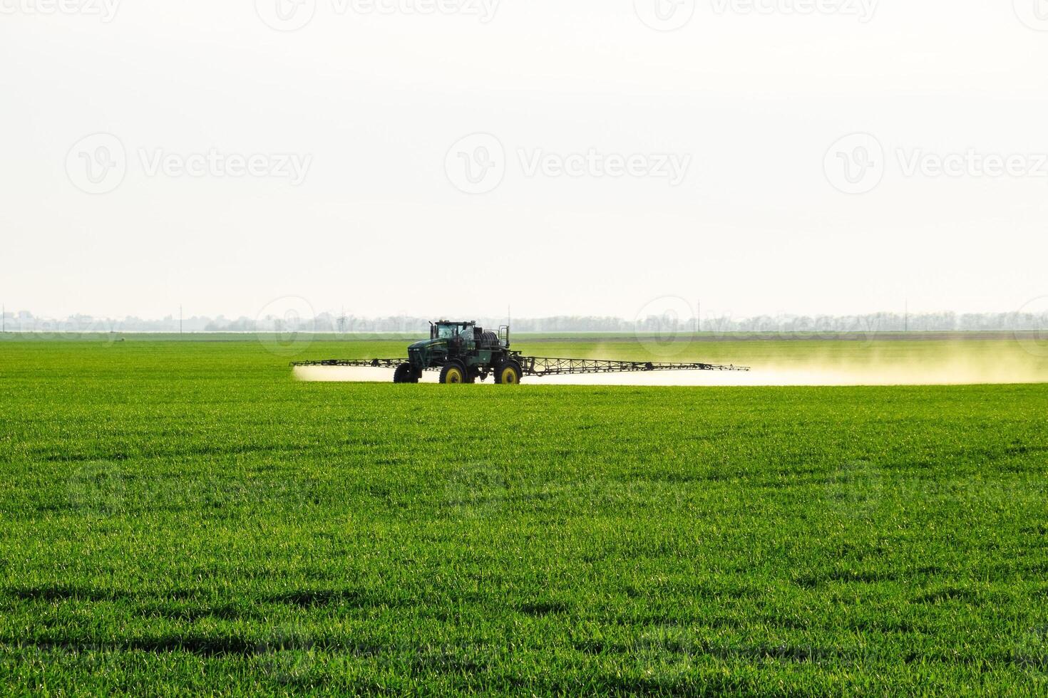 tractor with the help of a sprayer sprays liquid fertilizers on young wheat in the field. photo