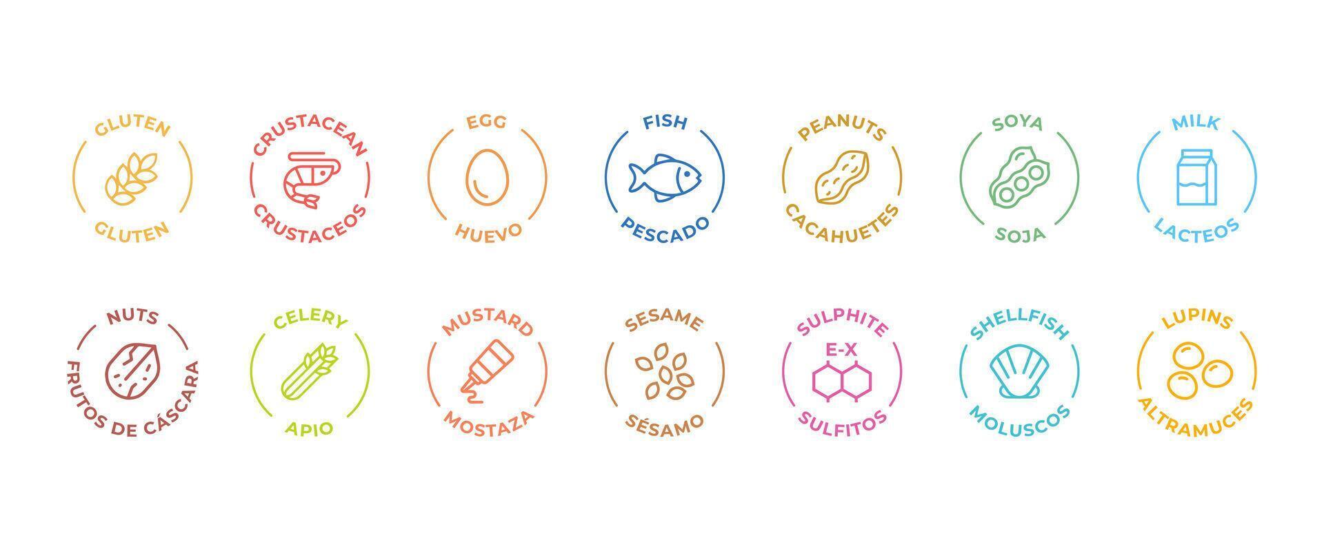 Isolated Vector Logo Set Badge Ingredient Warning Label. Colorful Allergens icons. Food Intolerance. The 14 allergens required to declare written in Spanish and English