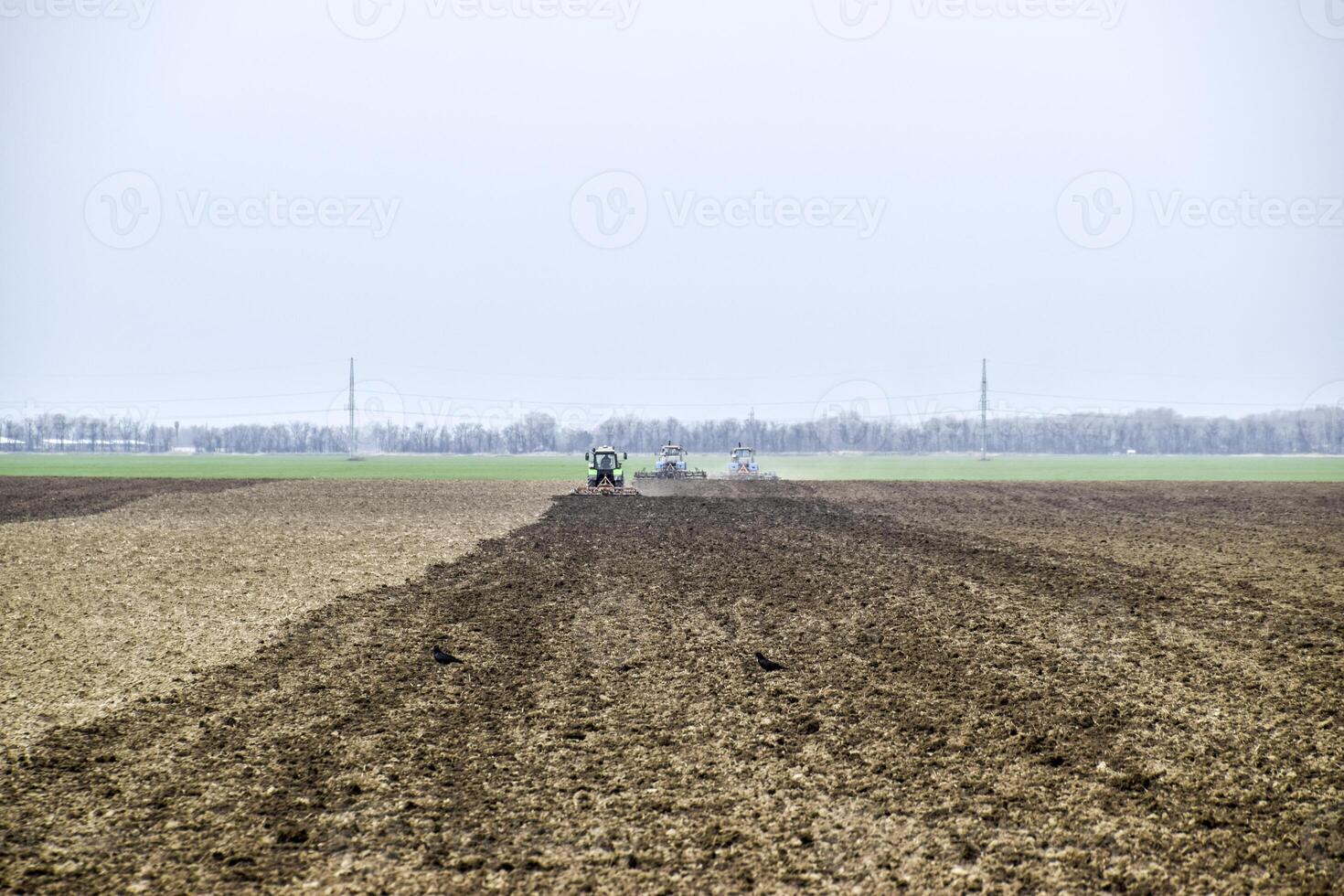 Lush and loosen the soil on the field before sowing. The tractor plows a field with a plow photo