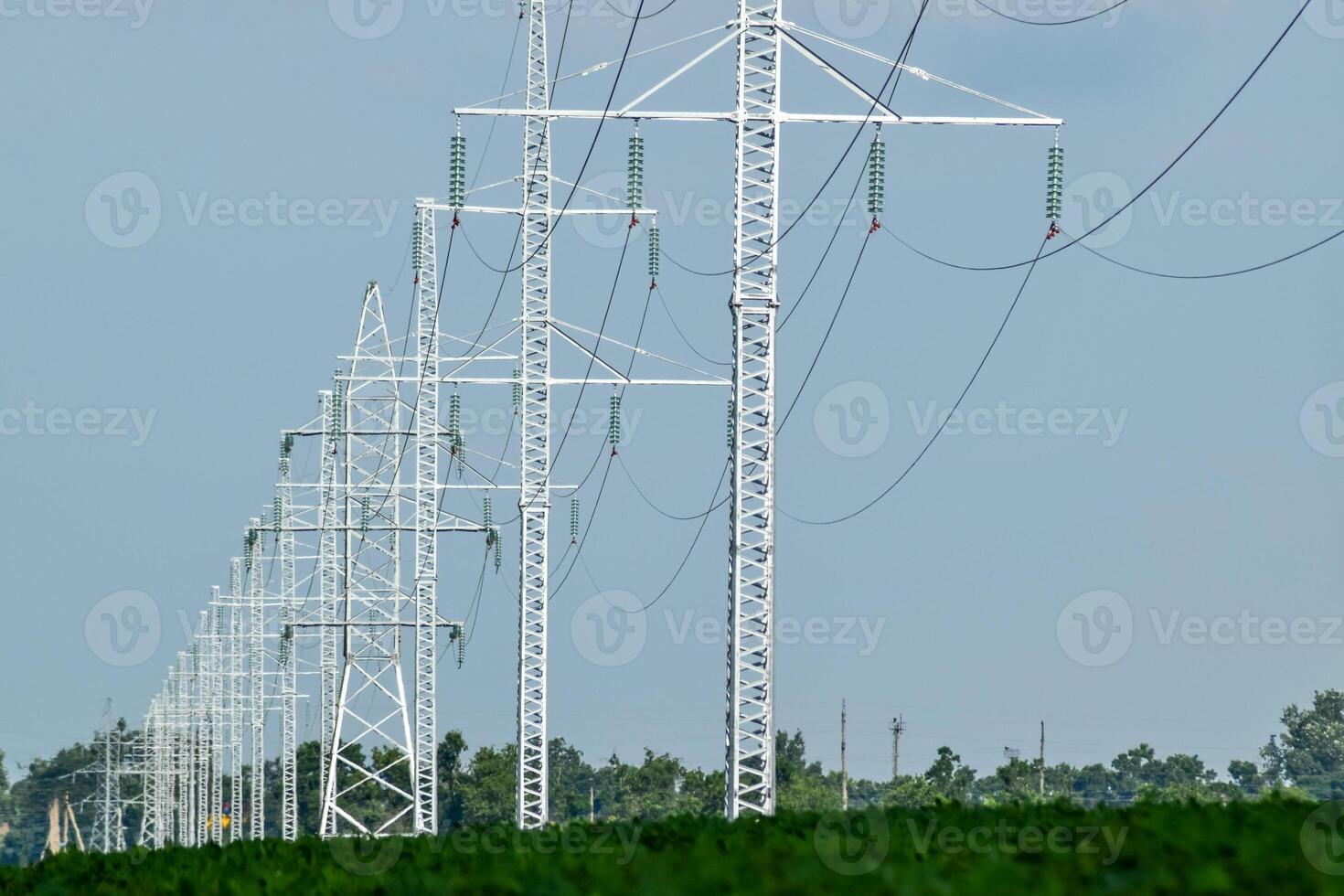 Transmission tower on a background field of soybeans photo