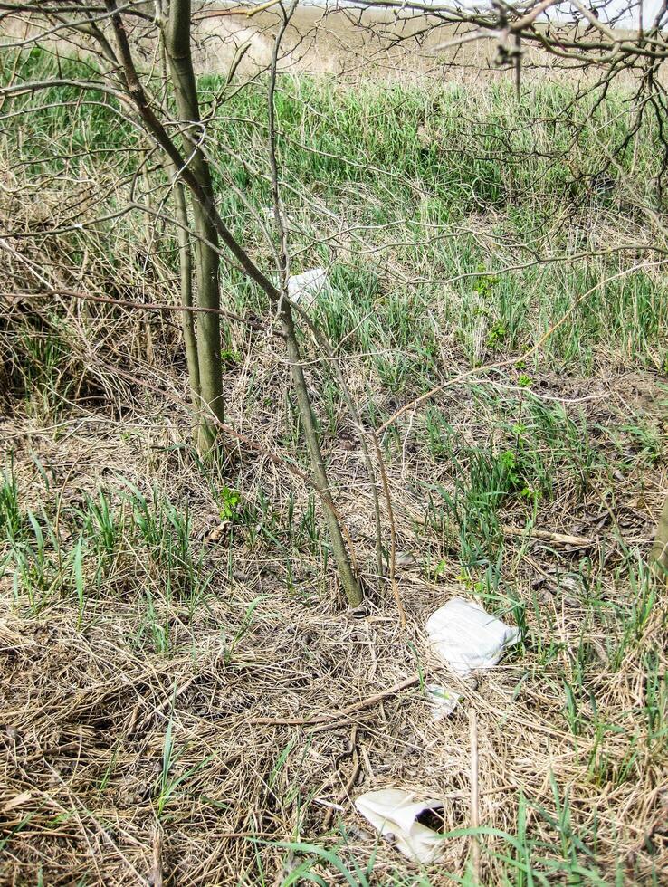 Discarded bags with fertilizer concentrate. Pollution of the environment by pesticides. photo