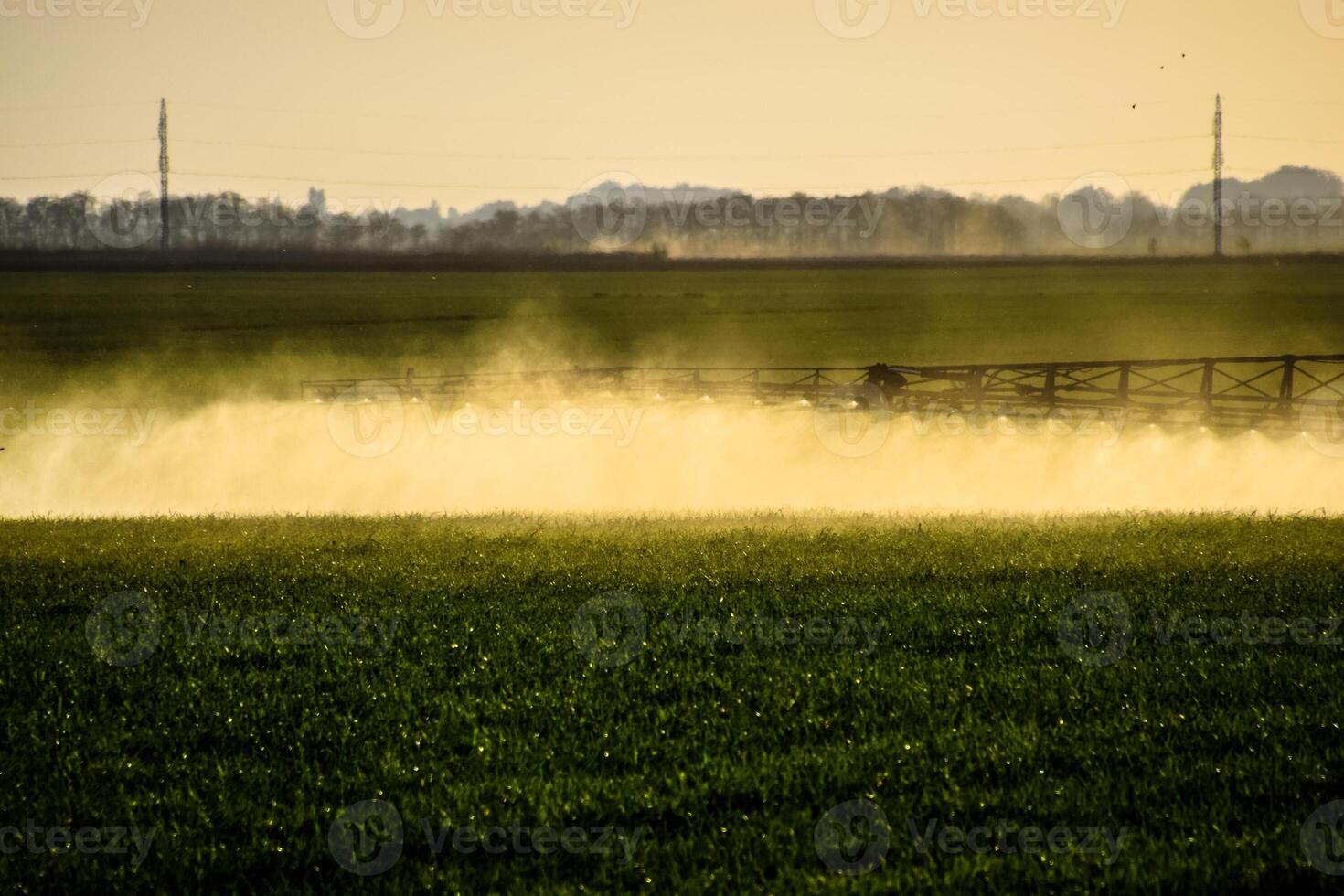 Jets of liquid fertilizer from the tractor sprayer. photo