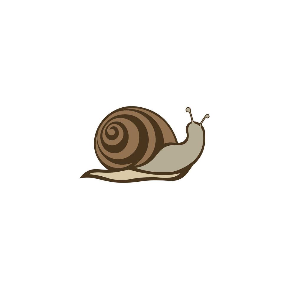 Snail Logo Vector design Template