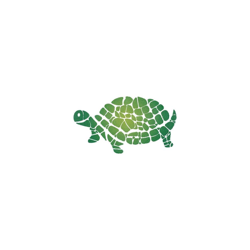 Turtle design logo vector. Turtle animal vector
