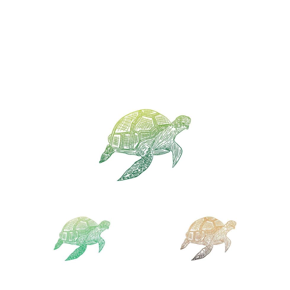 Tortuga diseño logo vector. Tortuga animal vector