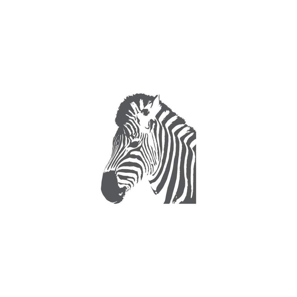 Zebra Logo Design Inspiration. Zebra logo on white background vector