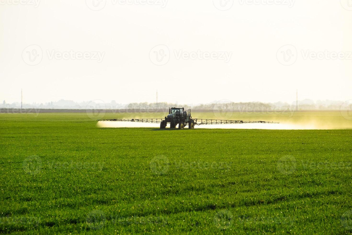 tractor with the help of a sprayer sprays liquid fertilizers on young wheat in the field. photo