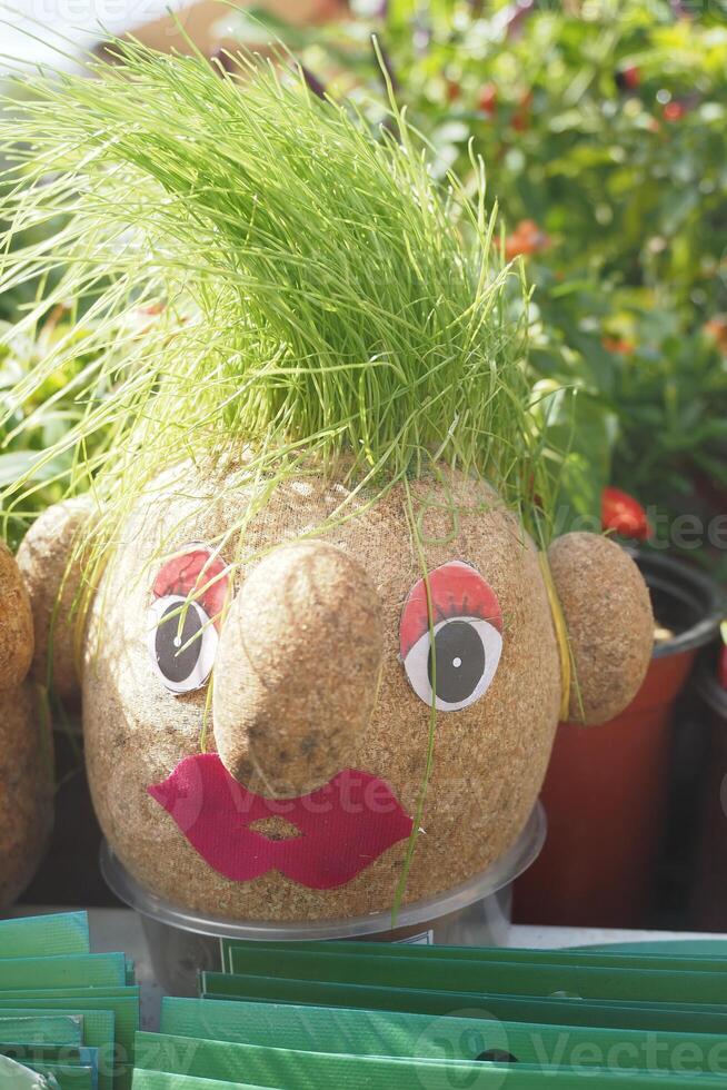 Handmade doll for growing grass seeds as hairs. Child education photo