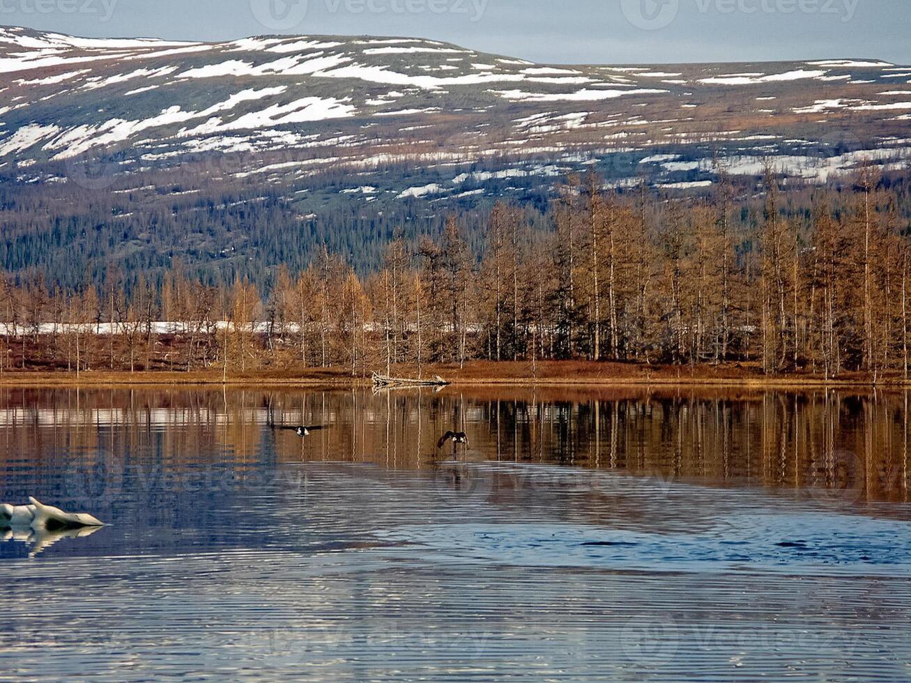 River landscape Early spring. bare trees, melting snow. photo