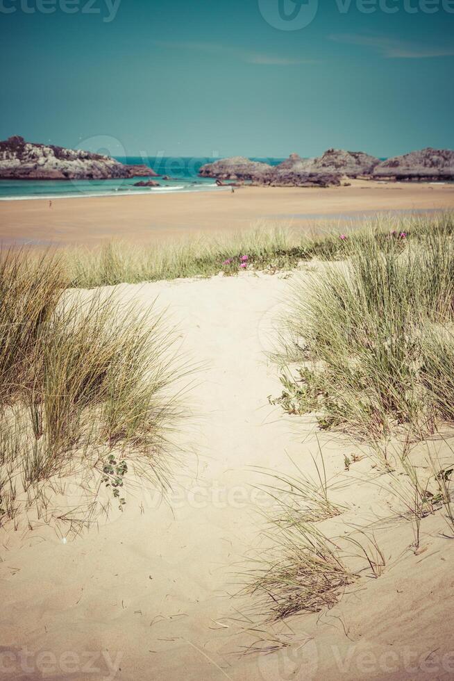 Beach of Helgueras, Noja, Cantabria, Spain photo