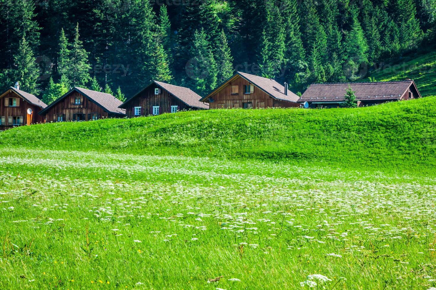 Wooden houses in Steg, Malbun, in Lichtenstein, Europe photo