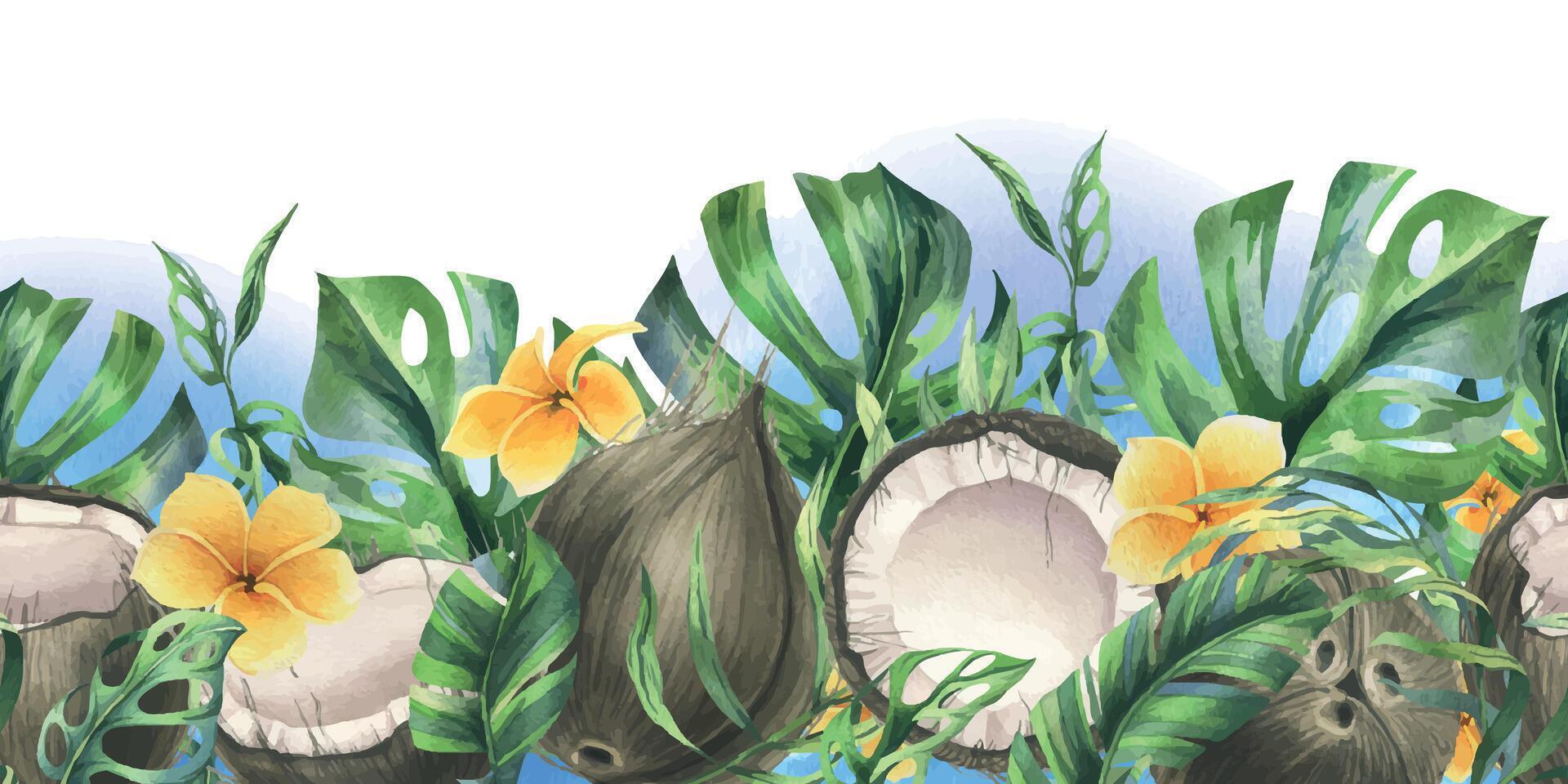 Coconuts whole, halves and pieces with bright, green, tropical palm leaves and yellow plumeria flowers. Hand drawn watercolor illustration. Seamless border isolated from the background vector