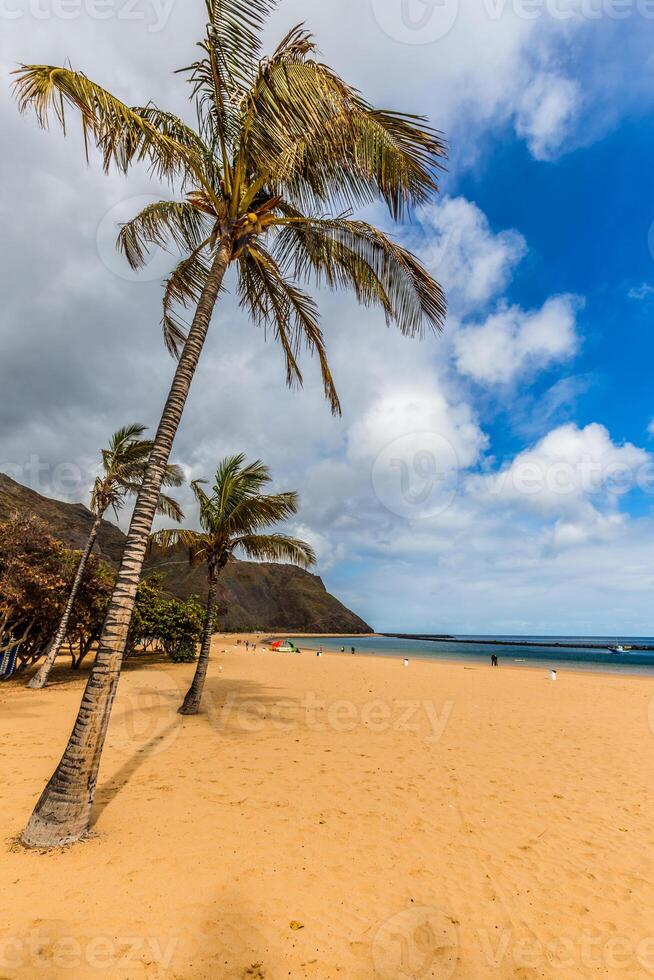 Beach Teresitas in Tenerife - Canary Islands Spain photo