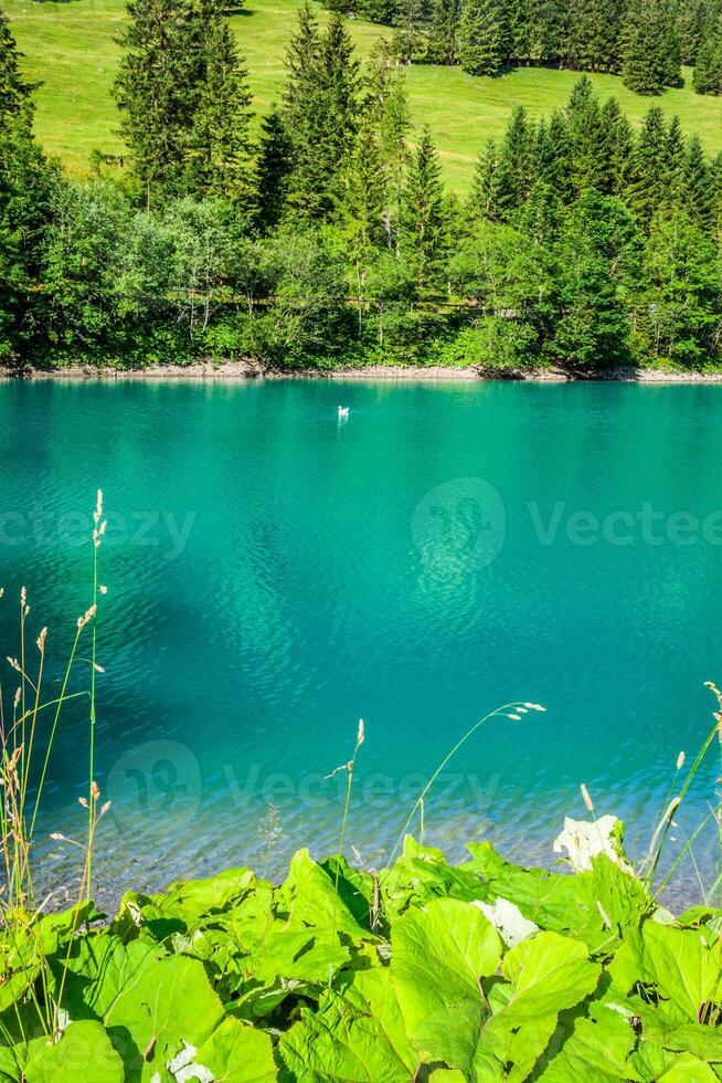 beautiful view mountain lake. Steg,Malbun in Lichtenstein, Europe photo