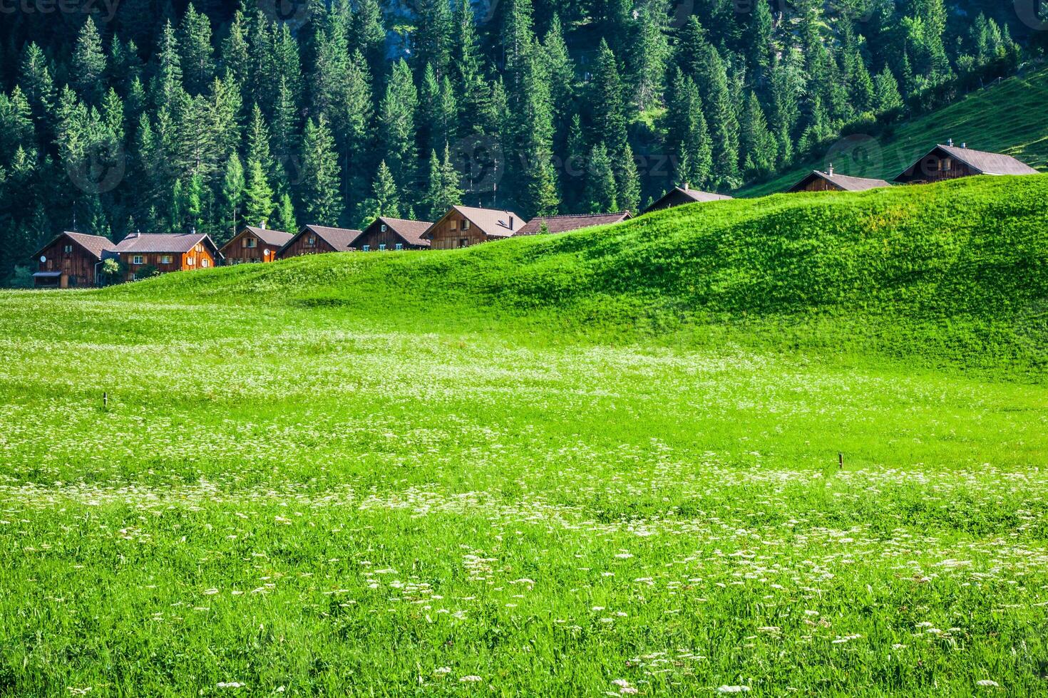 Wooden houses in Steg, Malbun, in Lichtenstein, Europe photo