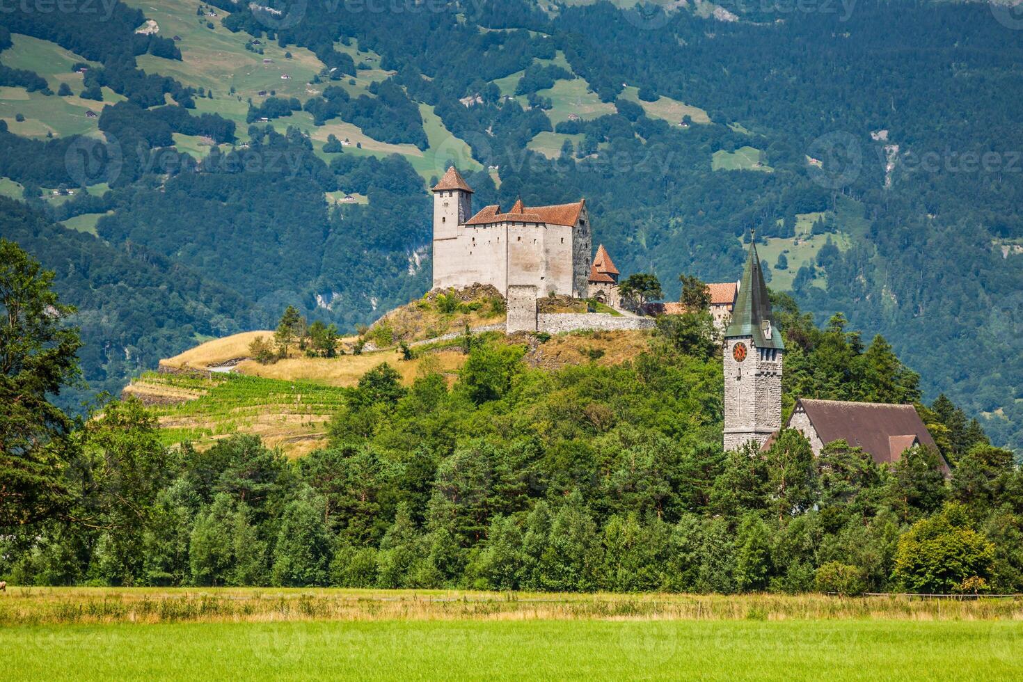 Vaduz castle view, Lichtenstein photo