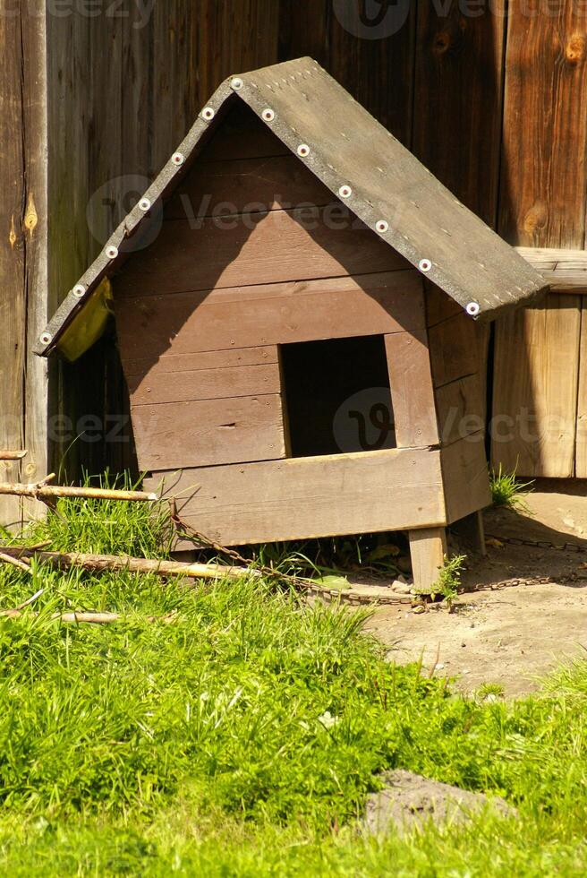 Doghouse in the nature with chain photo