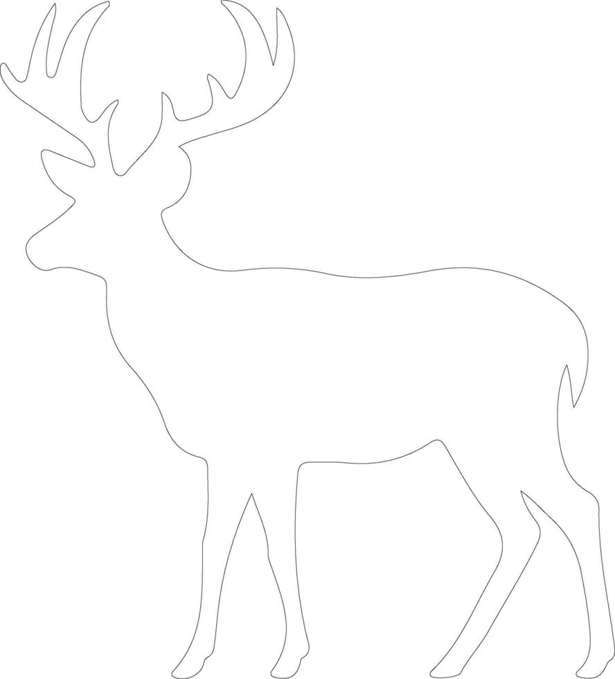 white-tailed deer  outline silhouette vector