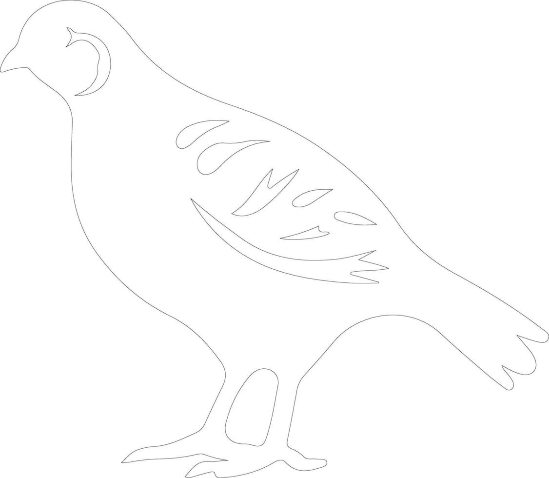 quail   outline silhouette vector