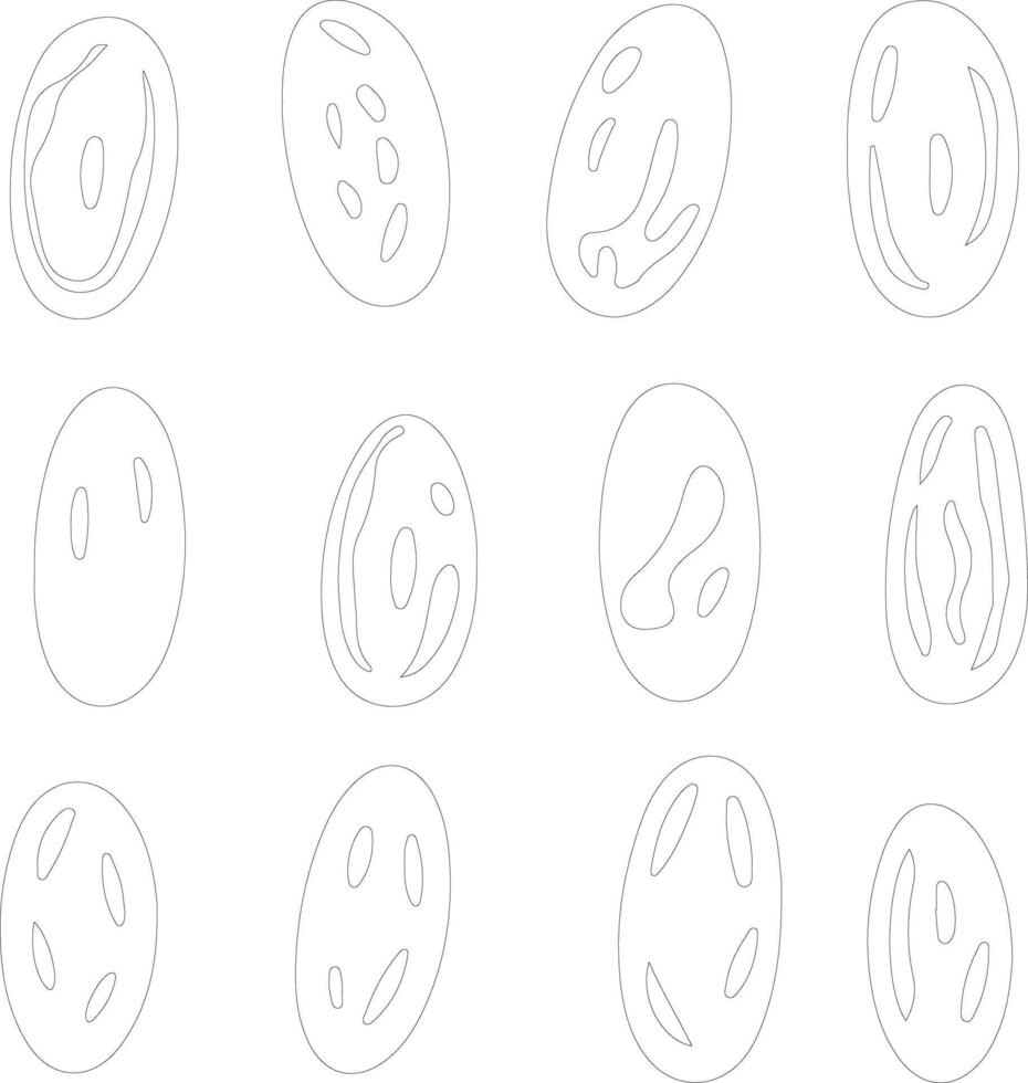 beans  outline silhouette vector