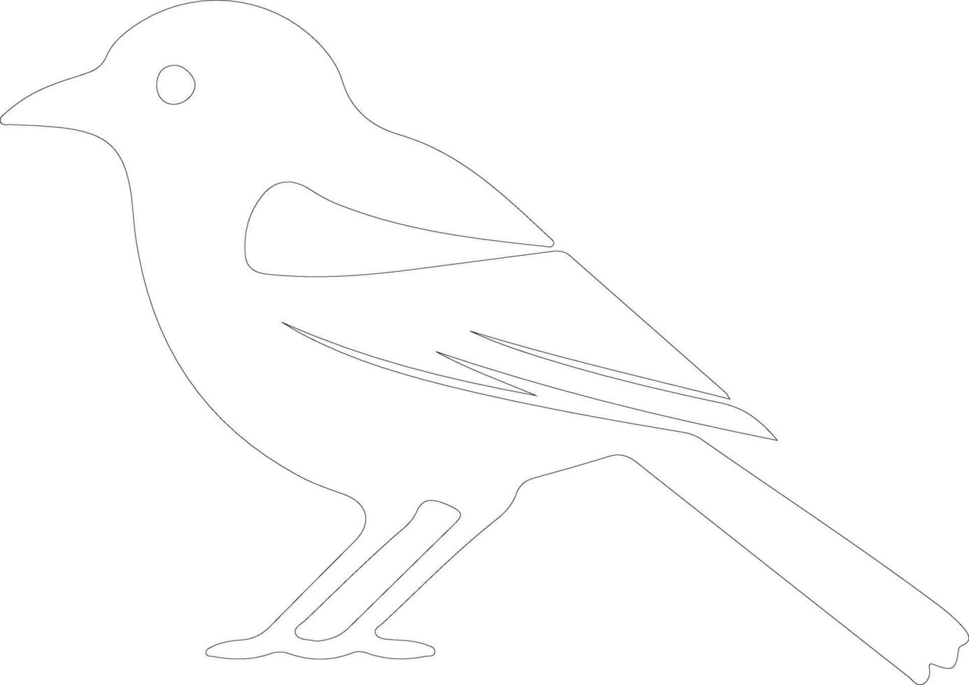 bird  outline silhouette vector