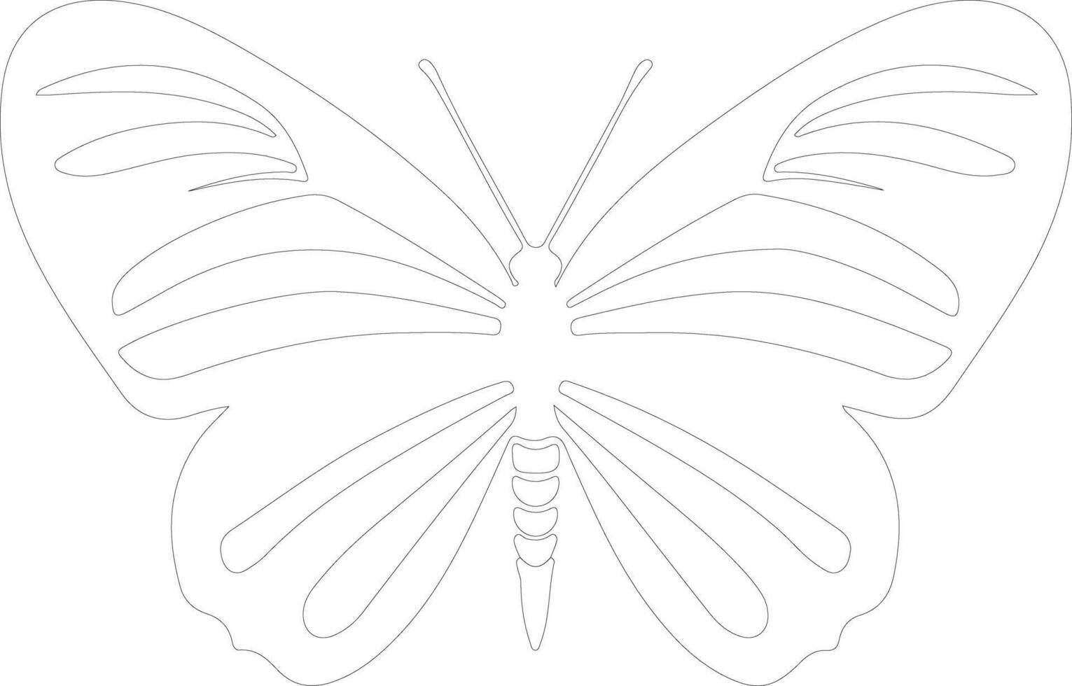 zebra longwing butterfly  outline silhouette vector