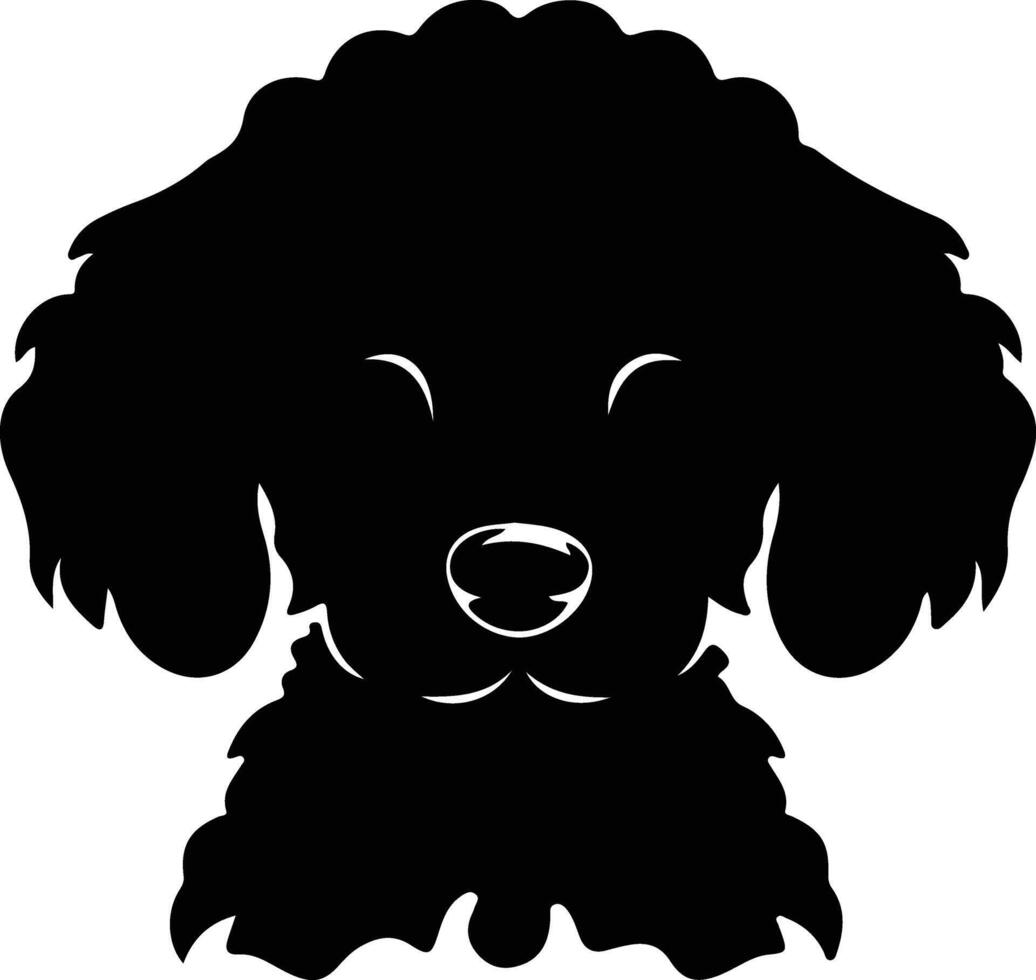 Toy Poodle  silhouette portrait vector