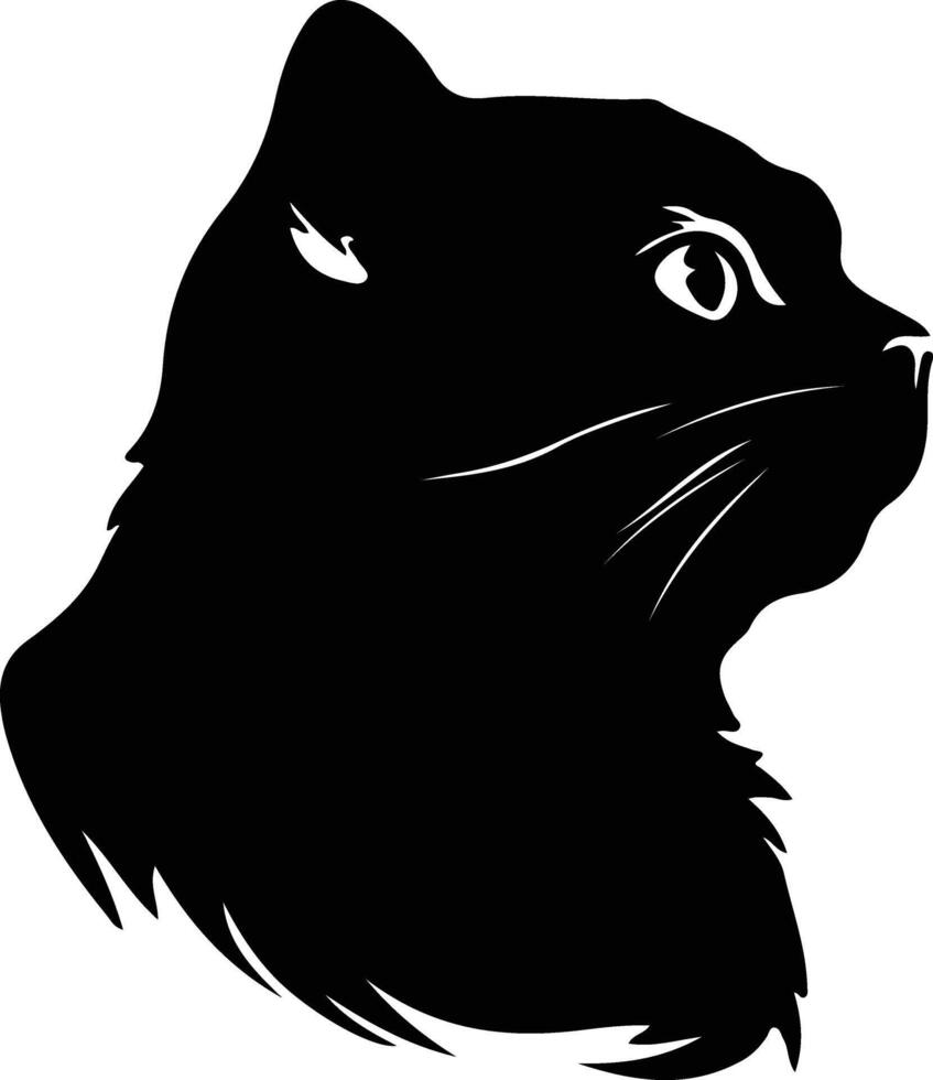 Scottish Fold Cat  silhouette portrait vector