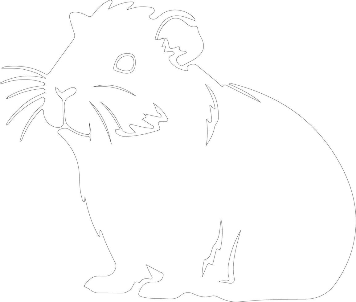 guinea pig  outline silhouette vector