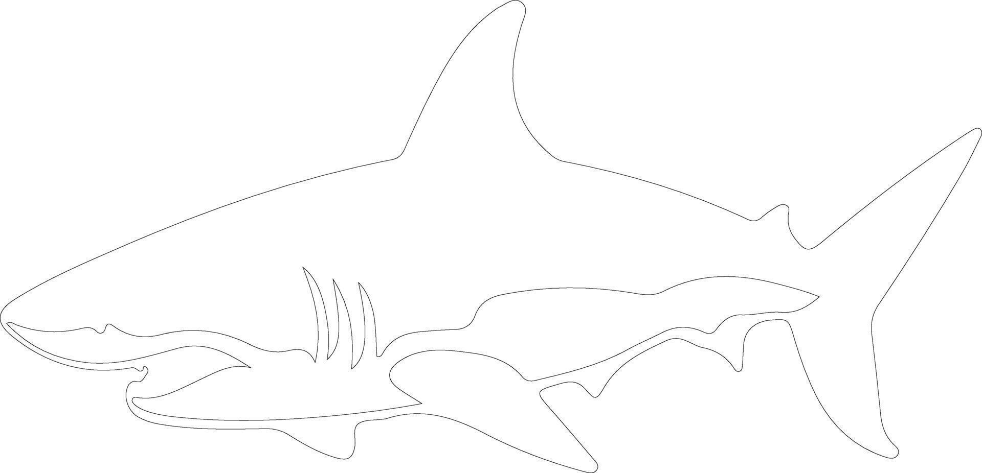 shark    outline silhouette vector