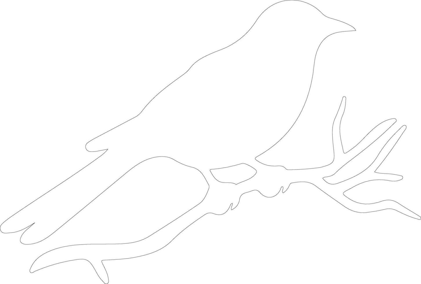 bird  outline silhouette vector