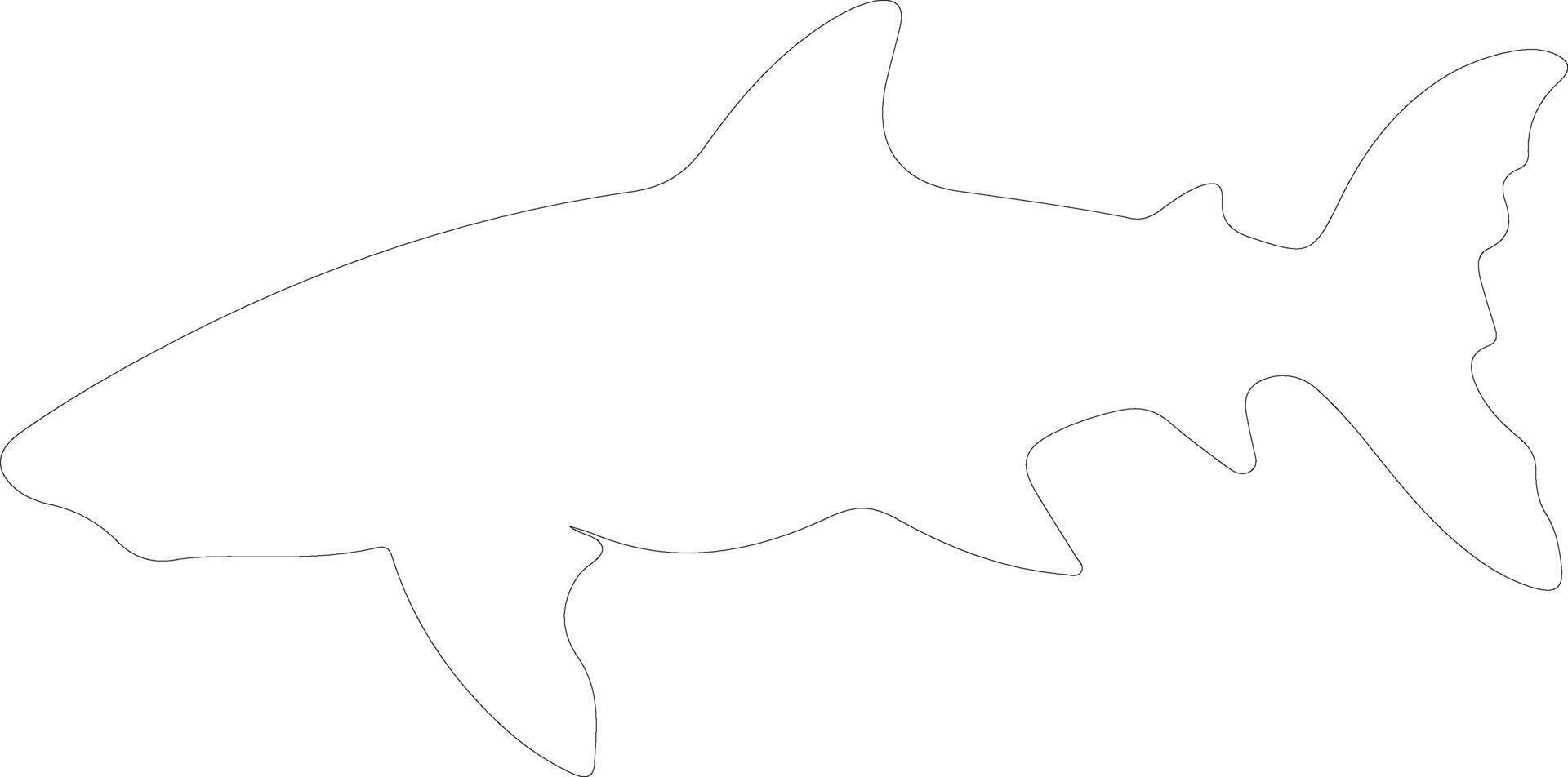 Greenland shark  outline silhouette vector