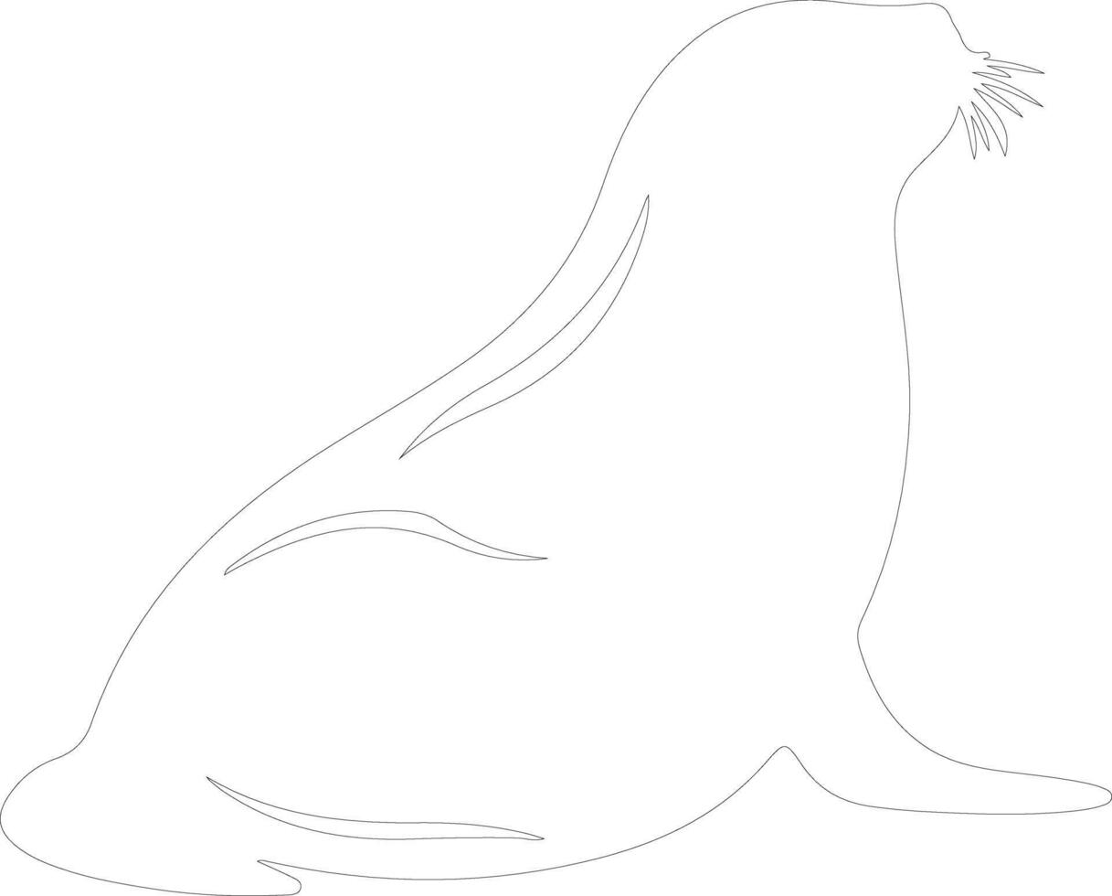 harp seal  outline silhouette vector