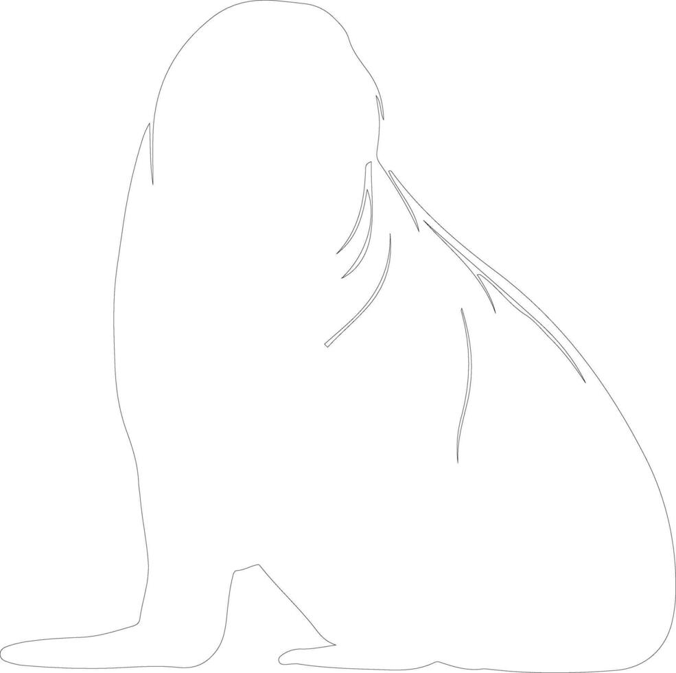 walrus outline silhouette vector