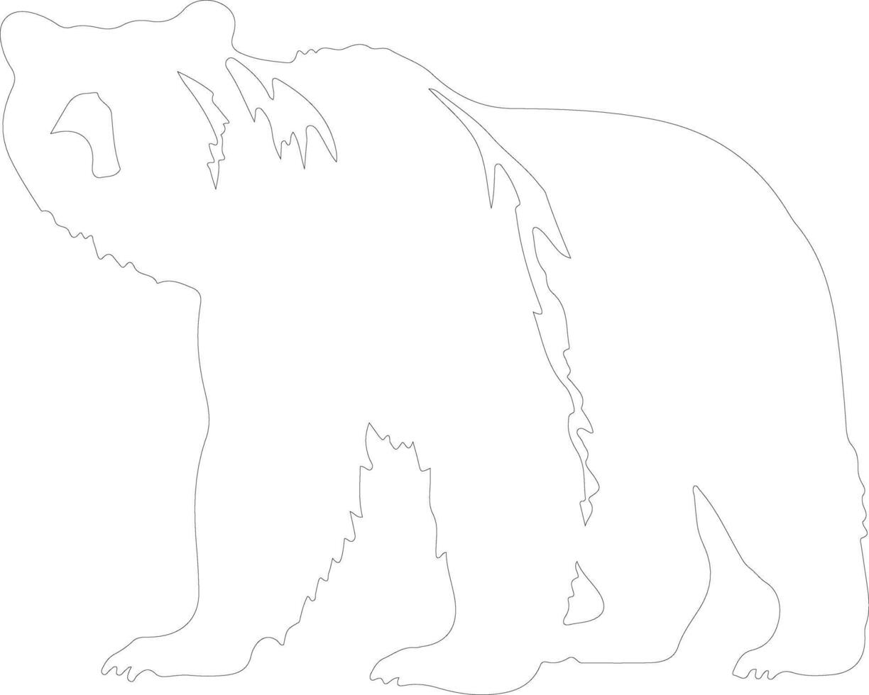 grizzly bear  outline silhouette vector