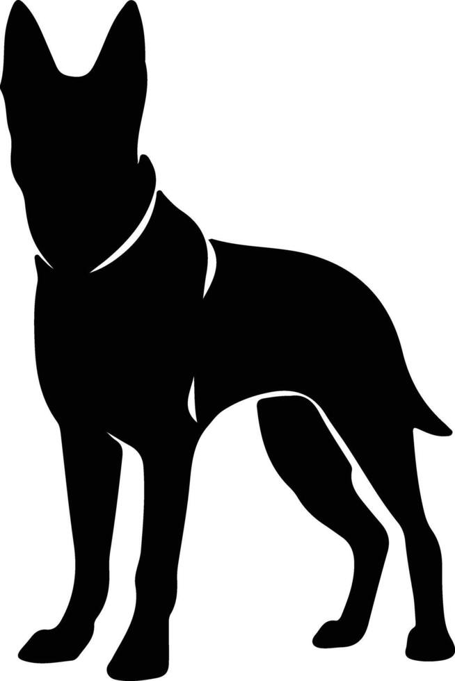 Belgian Malinois   black silhouette vector