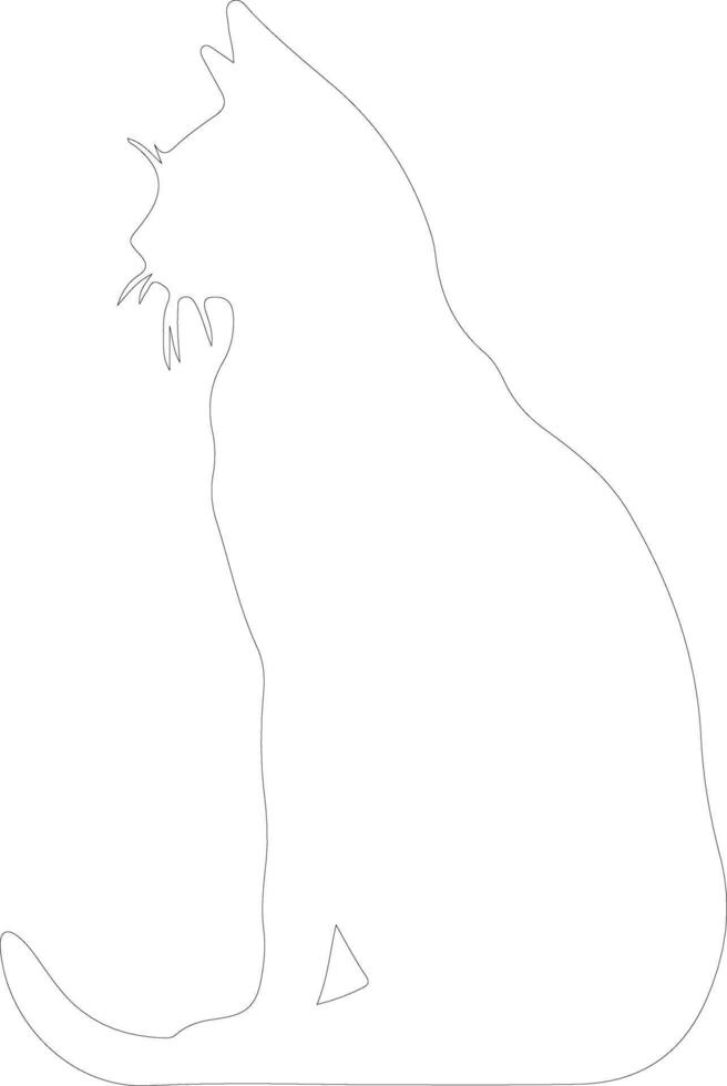 Javanese Cat  outline silhouette vector