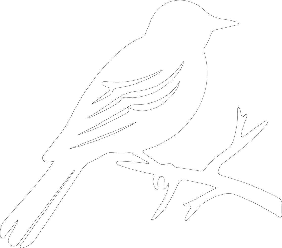 eastern bluebird   outline silhouette vector